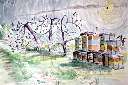 Bee Hives 1