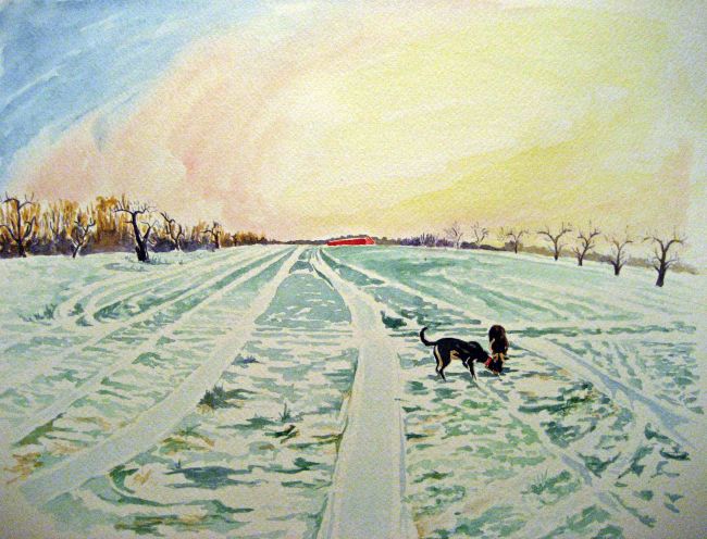Snow Lines - Shelburne Orchard