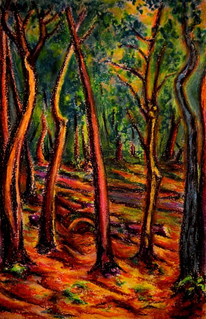 Ashland Woods